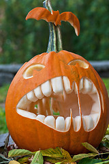 Image showing Halloween pumpkin