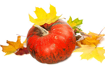 Image showing Red ripe pumpkin and autumn leaves