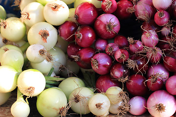 Image showing fresh red and white onions 