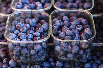 Image showing fresh blue blueberries 