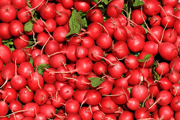 Image showing radishes background 