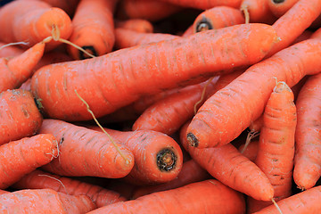 Image showing carrot background