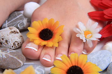 Image showing woman legs (pedicure) 