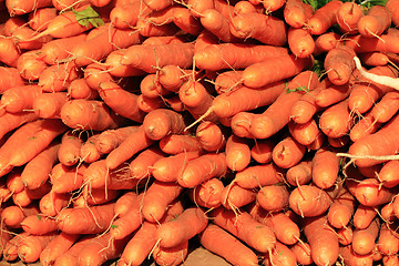 Image showing orange carrot background