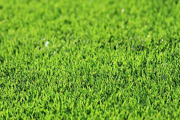 Image showing plastic green grass background