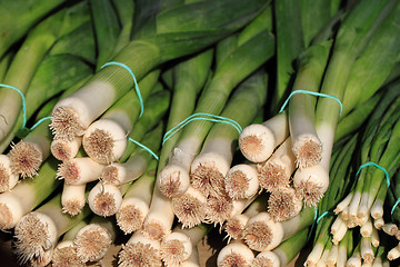 Image showing fresh green leafy leek 