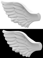 Image showing the angel wing