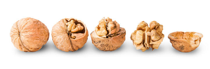 Image showing Several Nuts Lying In A Row