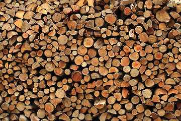 Image showing fire wood as nice background