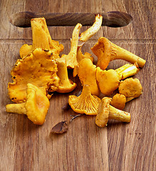 Image showing Fresh Raw Chanterelles 