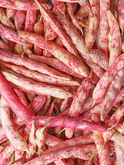 Image showing Cranberry beans