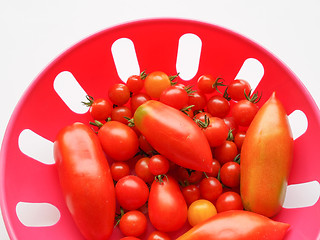 Image showing Tomato vegetable