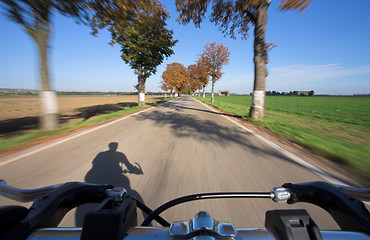 Image showing Riding a bicycle