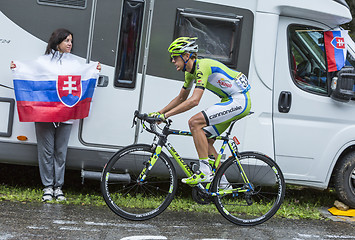 Image showing The Cyclist Alessandro De Marchi