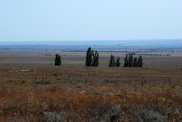 Image showing Crimean steppe