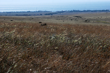 Image showing Crimean steppe