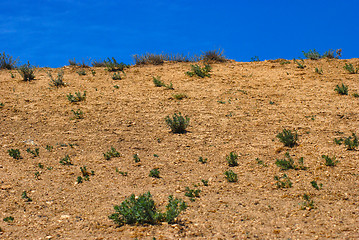 Image showing Crimean desert