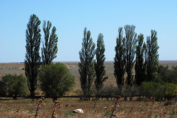 Image showing nature Tarhankuta