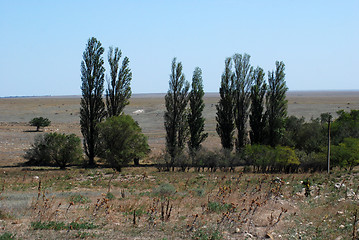 Image showing nature Tarhankuta