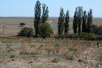 Image showing nature Tarhankuta