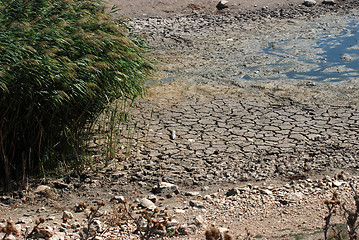 Image showing lake Springs