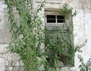 Image showing Cretan door