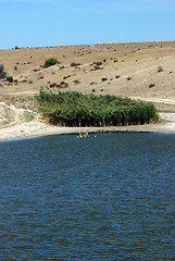 Image showing lake Springs