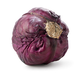 Image showing Whole purple cabbage