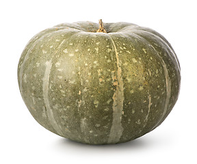 Image showing Green pumpkin