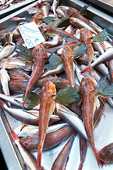 Image showing Fish market