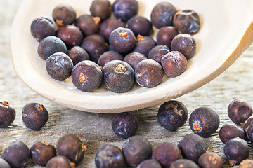 Image showing juniper berries