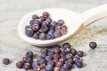 Image showing juniper berries