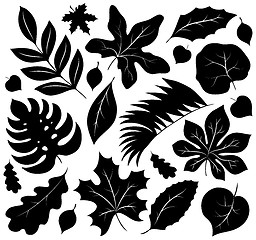 Image showing Leaves silhouettes collection 1