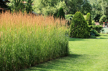 Image showing  finely manicured lawn