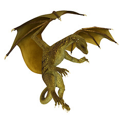 Image showing Golden Dragon