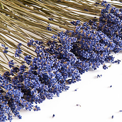 Image showing Dried Lavender