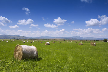 Image showing Bales of hay