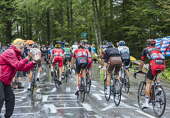 Image showing The Peloton