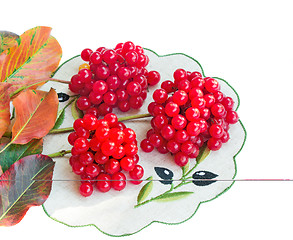 Image showing Clusters of berries of a guelder-rose and autumn leaves on a whi