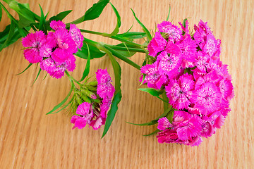 Image showing Bright pink flowers of a carnation against yellow silk.