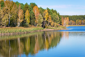 Image showing The autumn wood on the bank of the big beautiful lake