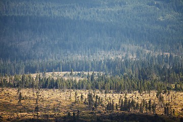 Image showing Landscape