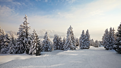 Image showing Winter Landscape