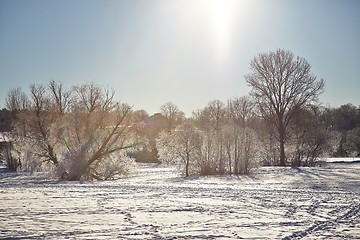 Image showing Winter Park