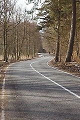 Image showing Autumn road