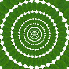 Image showing Green circle from leaves