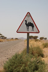 Image showing Dromedary road sign
