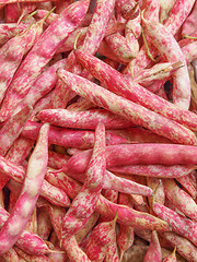 Image showing Cranberry beans