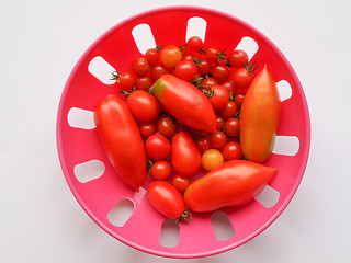 Image showing Tomato vegetable