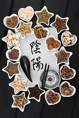 Image showing Chinese Alternative Medicine